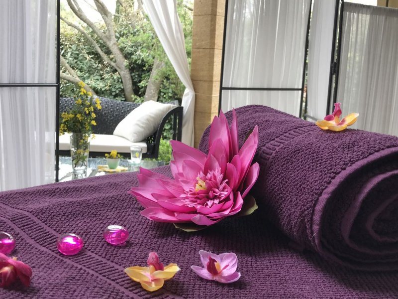 La Villa Romaine - Spa Privé Uzes_30700 UZES_21